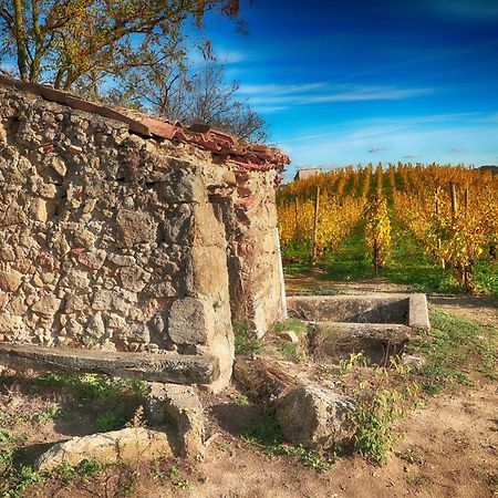 Condrieu Comme A La Maison Buitenkant foto