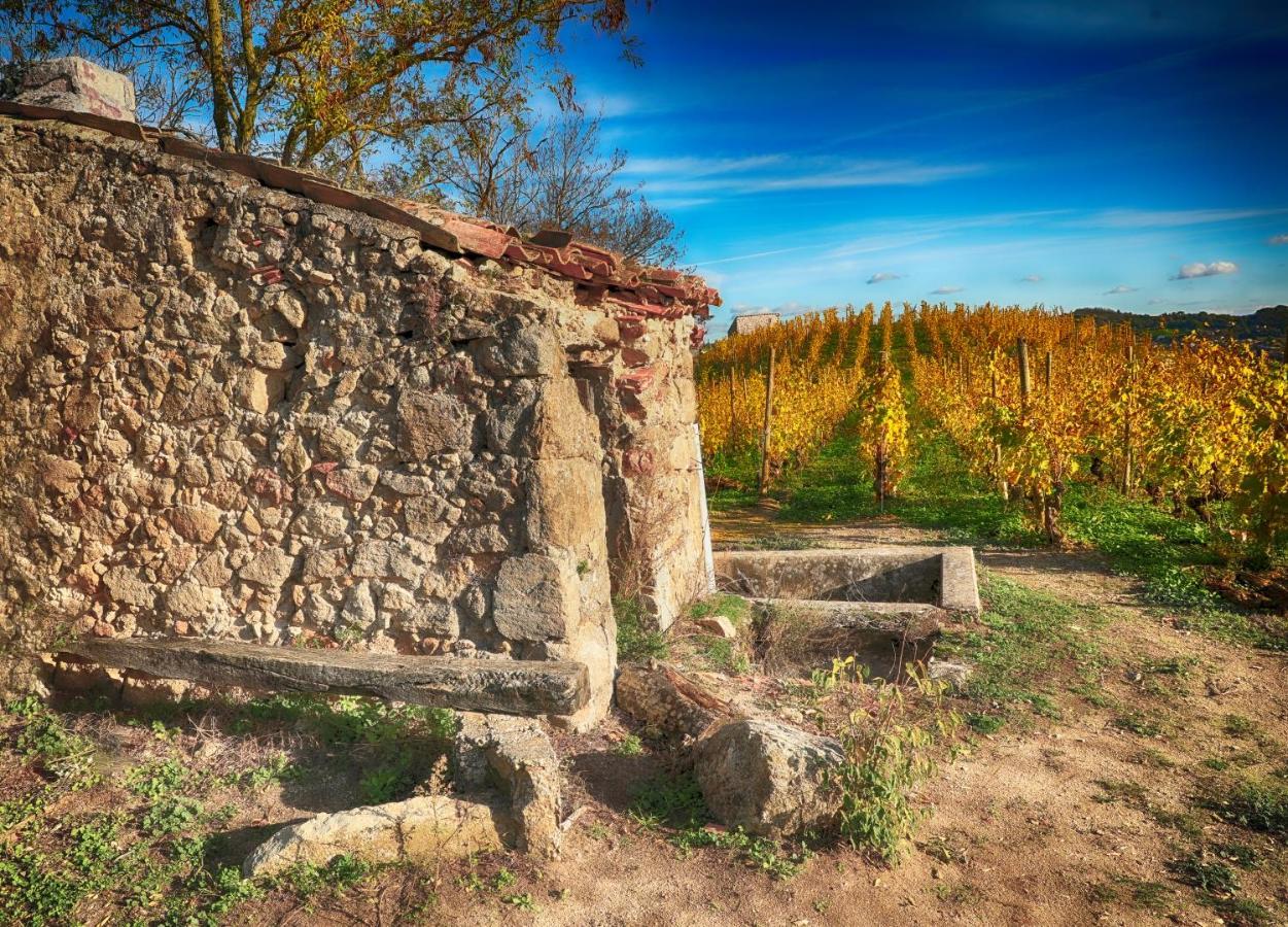 Condrieu Comme A La Maison Buitenkant foto