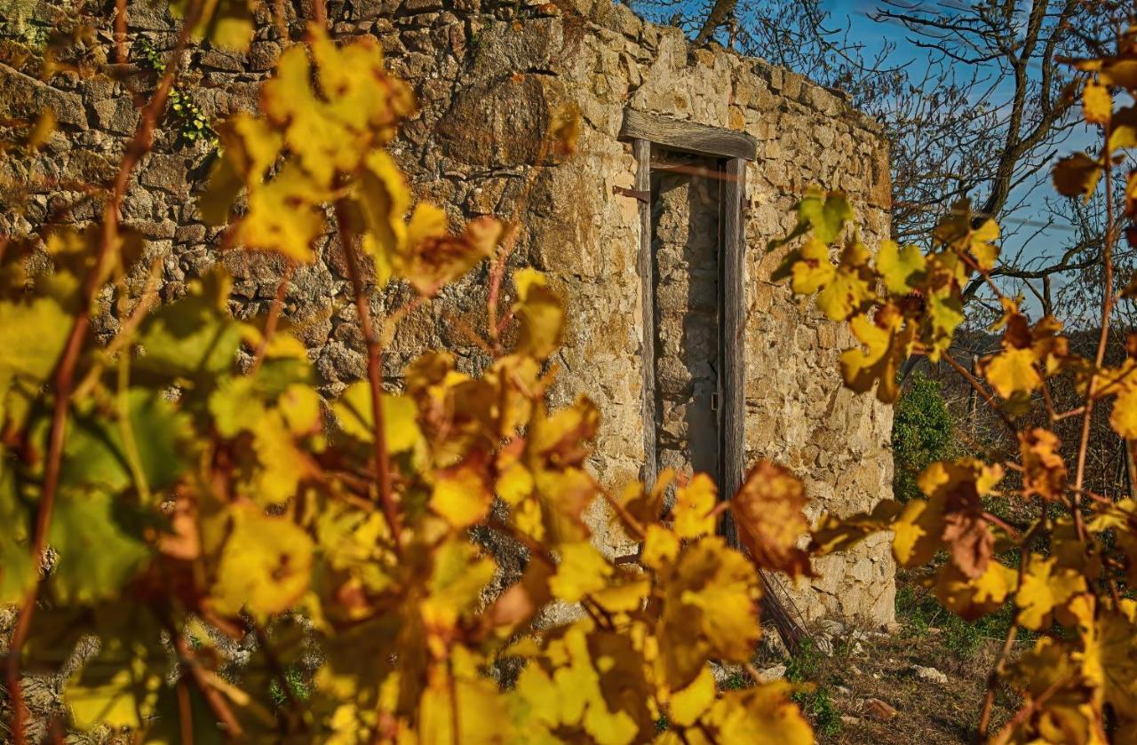Condrieu Comme A La Maison Buitenkant foto