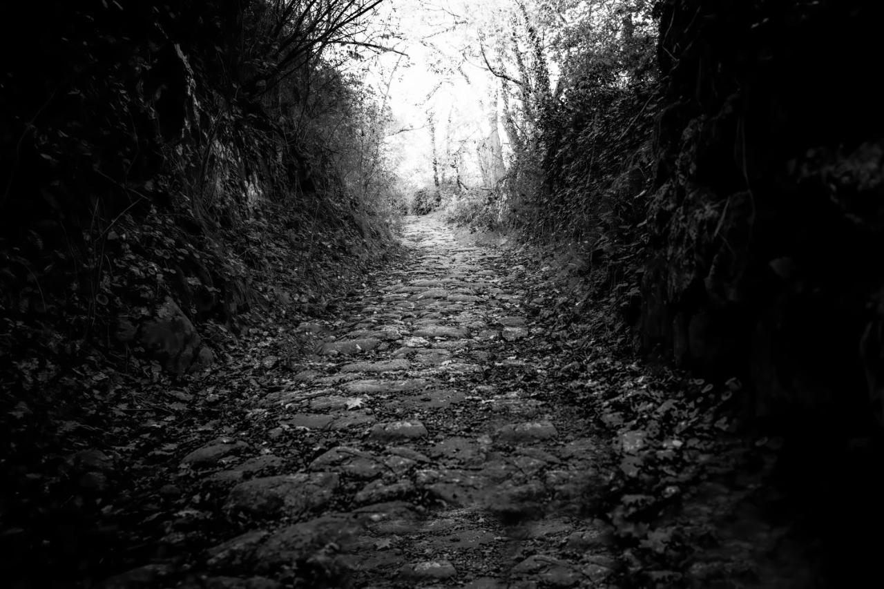 Condrieu Comme A La Maison Buitenkant foto