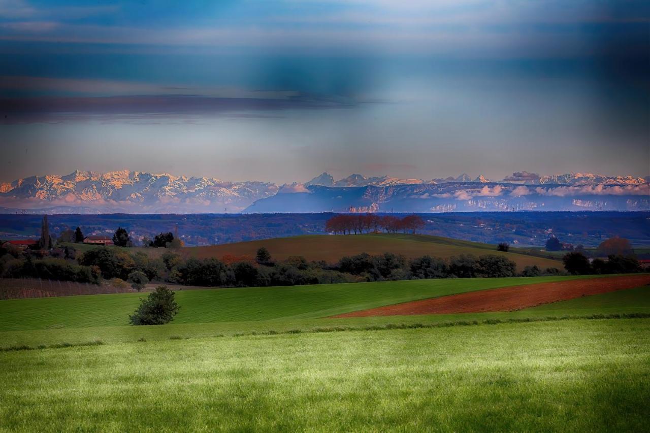 Condrieu Comme A La Maison Buitenkant foto